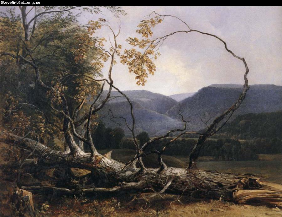 Asher Brown Durand Study from Nature,Stratton Notch,Vermont